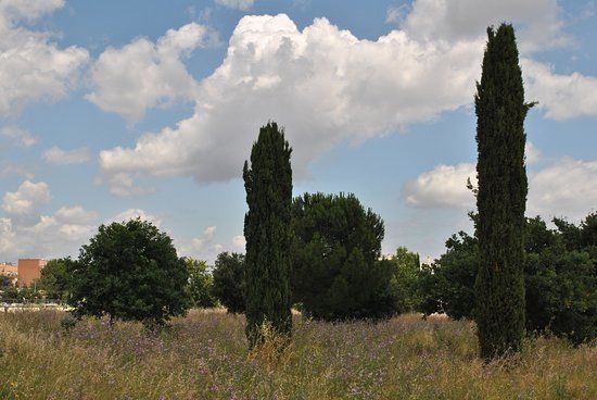 Parco archeologico di Centocelle